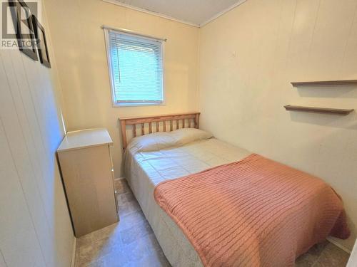 0 Route 350 Highway, Western Arm, NL - Indoor Photo Showing Bedroom