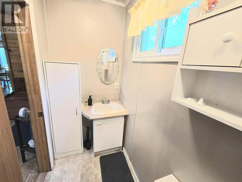 0 Route 350 Highway, Western Arm, NL - Indoor Photo Showing Bathroom