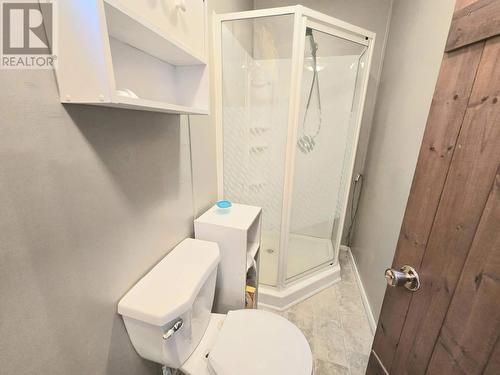 0 Route 350 Highway, Western Arm, NL - Indoor Photo Showing Bathroom
