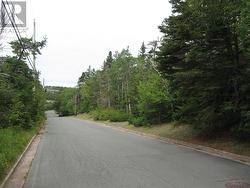 53 A Lawrence Pond Road E  Conception Bay South, NL A1X 4C6