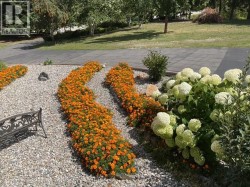 Yard and Paved Driveway . - 