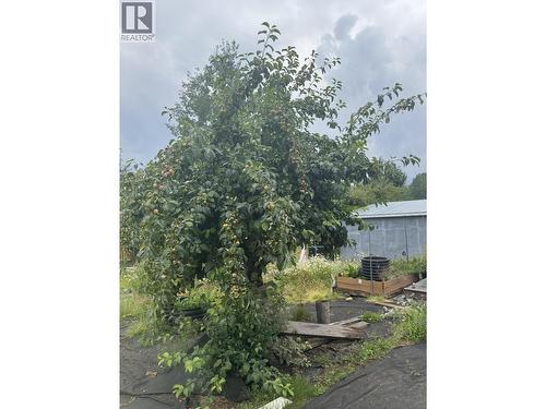 13 Manson Crescent, Mackenzie, BC - Outdoor