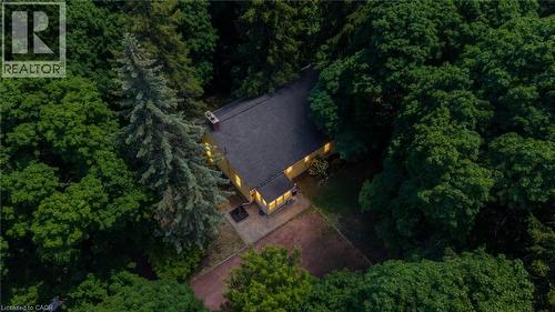 Single-story residence surrounded by mature trees, featuring a dark shingle roof and a prominent brick chimney - 41 Mill Street, Mississauga, ON - Outdoor
