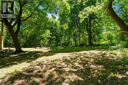 Wooded grounds featuring mature trees and dappled sunlight - 41 Mill Street, Mississauga, ON - Outdoor