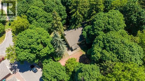 Secluded property enveloped by mature trees, offering a private setting - 41 Mill Street, Mississauga, ON - Outdoor