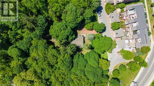 Image quality insufficient for description - 41 Mill Street, Mississauga, ON - Outdoor With View