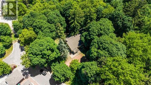 Secluded property surrounded by extensive mature tree coverage - 41 Mill Street, Mississauga, ON - Outdoor