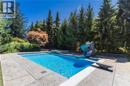 Rectangular swimming pool with a diving board and attached slide - 21 Kerman Avenue, Grimsby, ON 