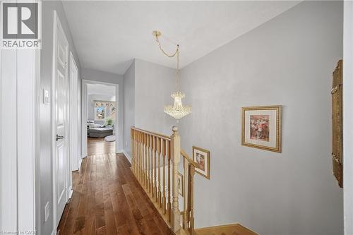 Hardwood-finish flooring extending through the hallway, featuring a crystal chandelier, painted walls, and white paneled doors - 5184 Red Brush Drive, Mississauga, ON - Indoor Photo Showing Other Room