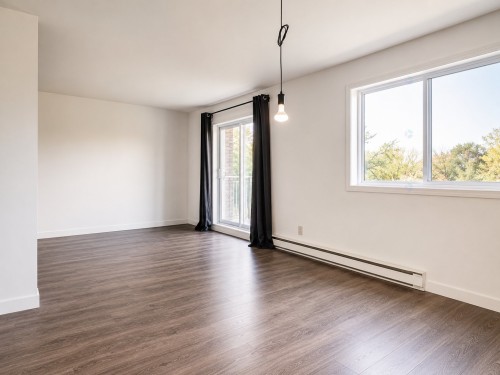 Living Room - 5-73 Rue Lalande, Longueuil (Le Vieux-Longueuil), QC - Indoor Photo Showing Other Room
