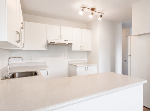 Kitchenette - 5-73 Rue Lalande, Longueuil (Le Vieux-Longueuil), QC - Indoor Photo Showing Kitchen