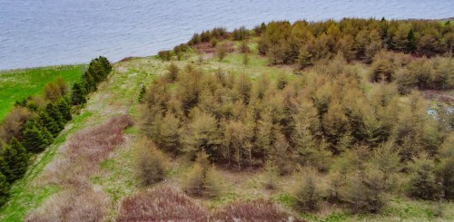 Terre/Terrain - 314 Route 132 E., Bonaventure, QC 
