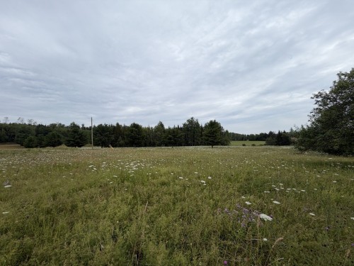 Terre/Terrain - 01 Rue Edwards, Escuminac, QC 