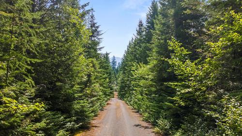 13180 Lockhart Road, Boswell, BC 