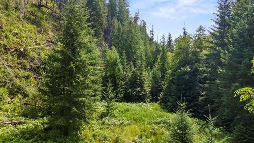 13180 Lockhart Road, Boswell, BC 