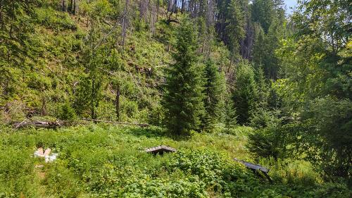 13180 Lockhart Road, Boswell, BC 