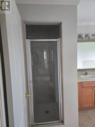 Ensuite shower - 147 Baggs Crescent, Cambridge, ON - Indoor Photo Showing Bathroom