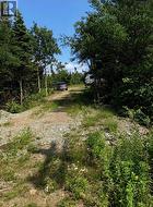 15 Center Island Road S Fogo, NL A0G 2X0