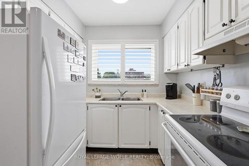 403 - 87 St George Street, Brantford, ON - Indoor Photo Showing Kitchen With Double Sink