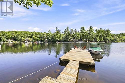 74 BALDWIN BAY ROAD  Trent Lakes, ON K0L 1J0