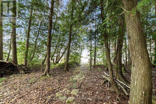 Path to the Water and Beach - 25 Chippewa Crescent, Tiny, ON - Outdoor With View