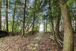 Path to the Water and Beach - 