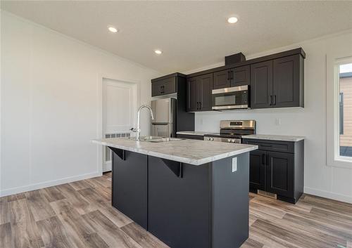136 Prairie Oak Drive, Mitchell, MB - Indoor Photo Showing Kitchen With Double Sink With Upgraded Kitchen