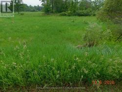 LOT 16 SNIDER ROAD  Frontenac (Frontenac South), ON K0H 2W0