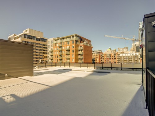 Patio - 307-1190 Rue Mackay, Montréal (Ville-Marie), QC - Outdoor