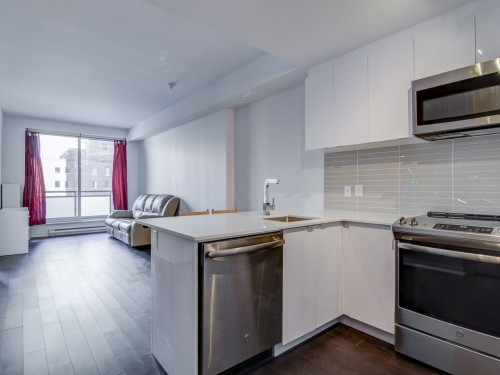 Interior - 307-1190 Rue Mackay, Montréal (Ville-Marie), QC - Indoor Photo Showing Kitchen With Upgraded Kitchen
