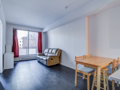 Interior - 307-1190 Rue Mackay, Montréal (Ville-Marie), QC - Indoor Photo Showing Living Room
