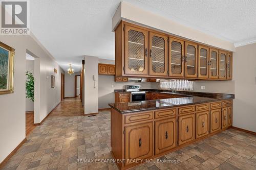 39 Algonquin Court, Hamilton, ON - Indoor Photo Showing Kitchen