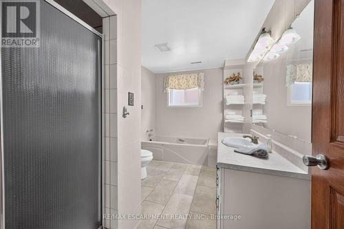 39 Algonquin Court, Hamilton, ON - Indoor Photo Showing Bathroom
