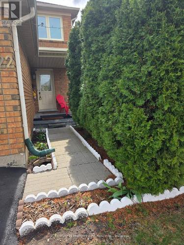 3822 Spicewood Way, Mississauga, ON - Outdoor