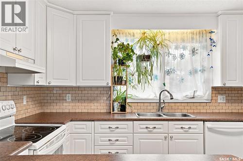 133 Lloyd Crescent, Saskatoon, SK - Indoor Photo Showing Kitchen With Double Sink