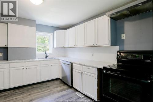 355 Bridge, Windsor, ON - Indoor Photo Showing Kitchen