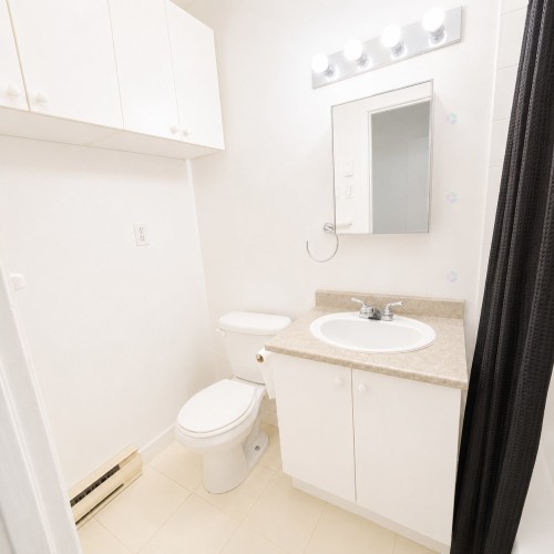 Salle de bains - 410-406  - 416 4E Avenue, Montréal (Verdun/Île-Des-Soeurs), QC - Indoor Photo Showing Bathroom