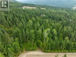8588 Black Mountain Road Chase, BC V0E 1M0