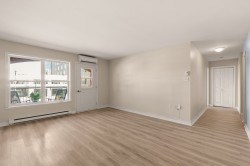 Salon - 