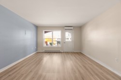 Salon - 