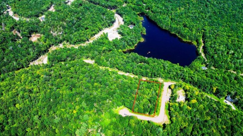 Ch Du Lac Wilson — photo 1