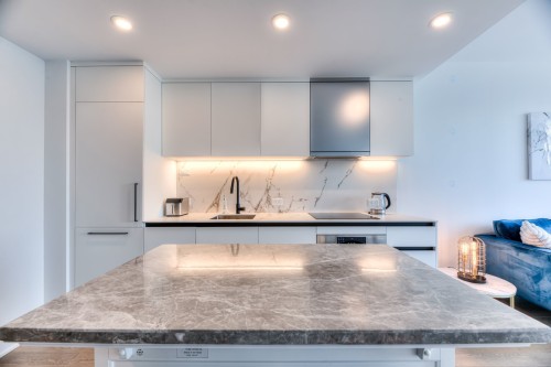 Kitchen - 1703-720 Rue St-Jacques, Montréal (Ville-Marie), QC - Indoor Photo Showing Kitchen With Upgraded Kitchen