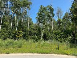 13 LAKESIDE WOODS CRESCENT Saugeen Shores, ON N0H 2C6