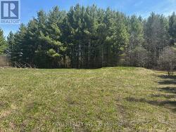 6081 HWY 89, CLIFFORD ROAD  Minto, ON N0G 1M0