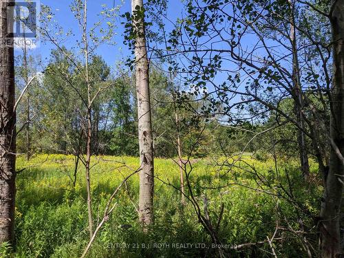 2361 George Johnston Road, Springwater, ON 