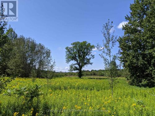 2361 George Johnston Road, Springwater, ON 