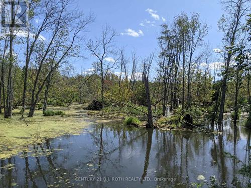 2361 George Johnston Road, Springwater, ON 