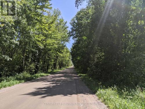 2361 George Johnston Road, Springwater, ON 