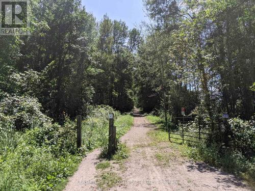 2361 George Johnston Road, Springwater, ON 