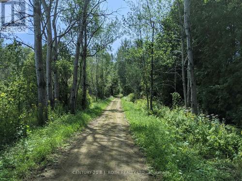 2361 George Johnston Road, Springwater, ON 
